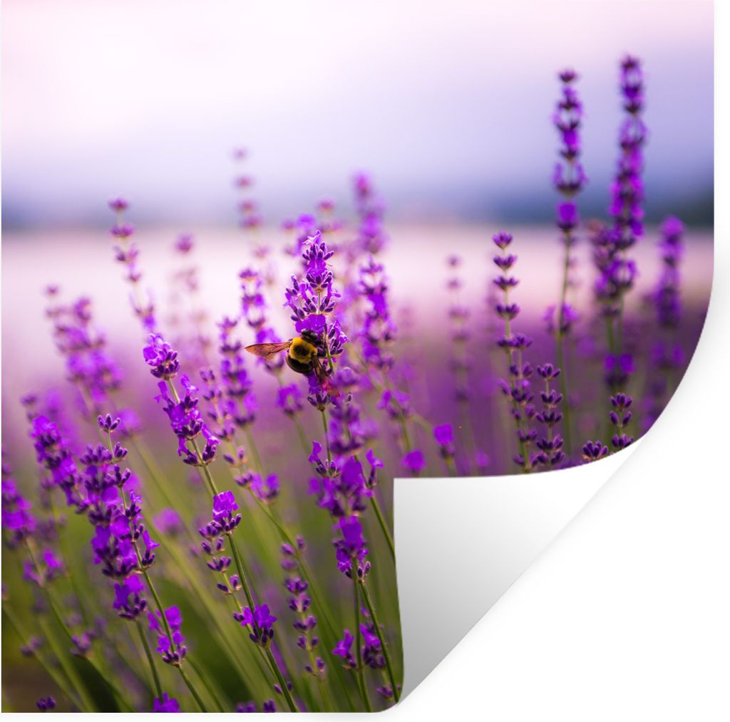 MuchoWow Wandtattoo Wandsticker Wandaufkleber Lavendel mit Biene 80x80 cm Selbstklebend und Repositionierbar - Wierderverwendbar - Selbstklebend