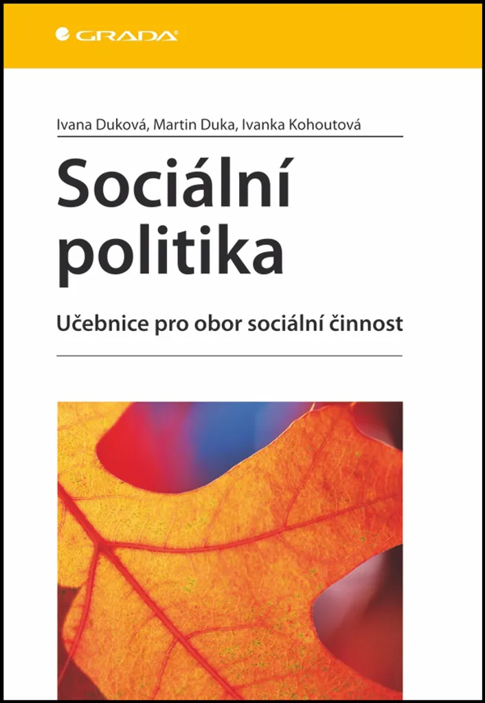 Sociální politika Manuel de Travail Social par Collectif d'Auteurs
