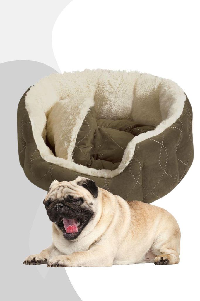 Nobby Komfortbett "CENO" L x B x H: 65 x 57 x 22 cm beige / braun