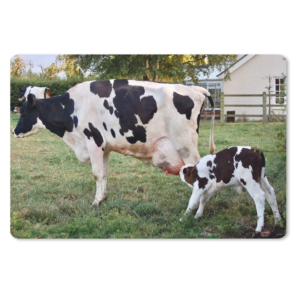 MuchoWow Mauspad Mousepad Kuh - Kalb - Bauernhof 27x18 cm - Mousepads - Maus Mat - Pad - Mausunterlage - Büroartikel - Desk Matten