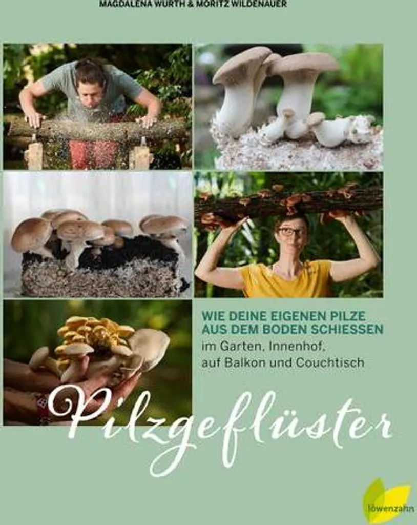 Kit Champignons Pilzgeflüster Récolte Rapide en Intérieur 1kg