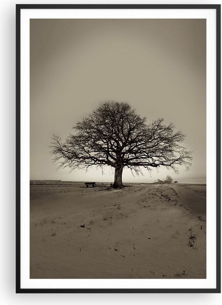 Gerahmtes Poster - Schwarzer Rahmen - Baum Schnee Sepia - 70x100 cm - Wand Bild - Wanddeko - Wandbilder - Kunstposter - Wandposter - Bilderrahmen -...