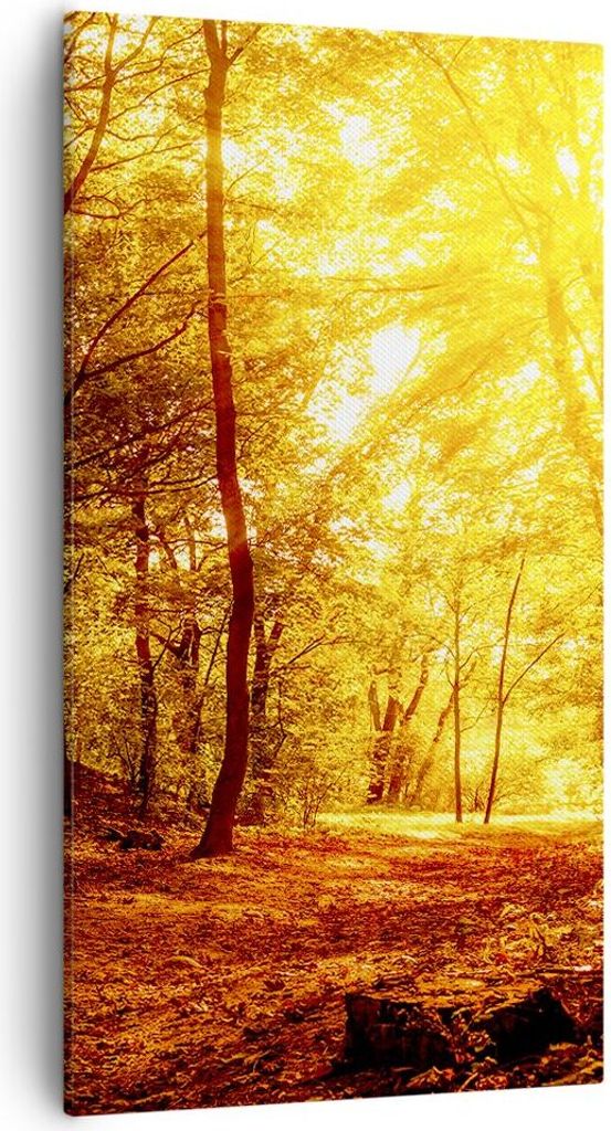Bild auf Leinwand - Leinwandbild - Wald Baum Natur - 55x100cm - Wand Bild - Wanddeko - Wandbilder - Leinwanddruck - Bilder - Kunstdruck - Wanddekor...