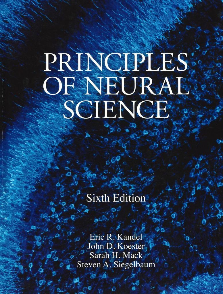 Principles of Neural Science, Sixth Edition Produktbild 