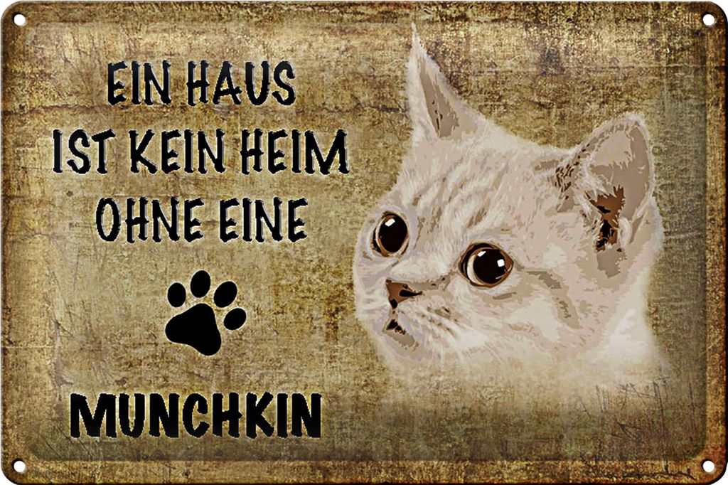 Blechschild Spruch 30x20cm Munchkin Katze ohne kein Heim