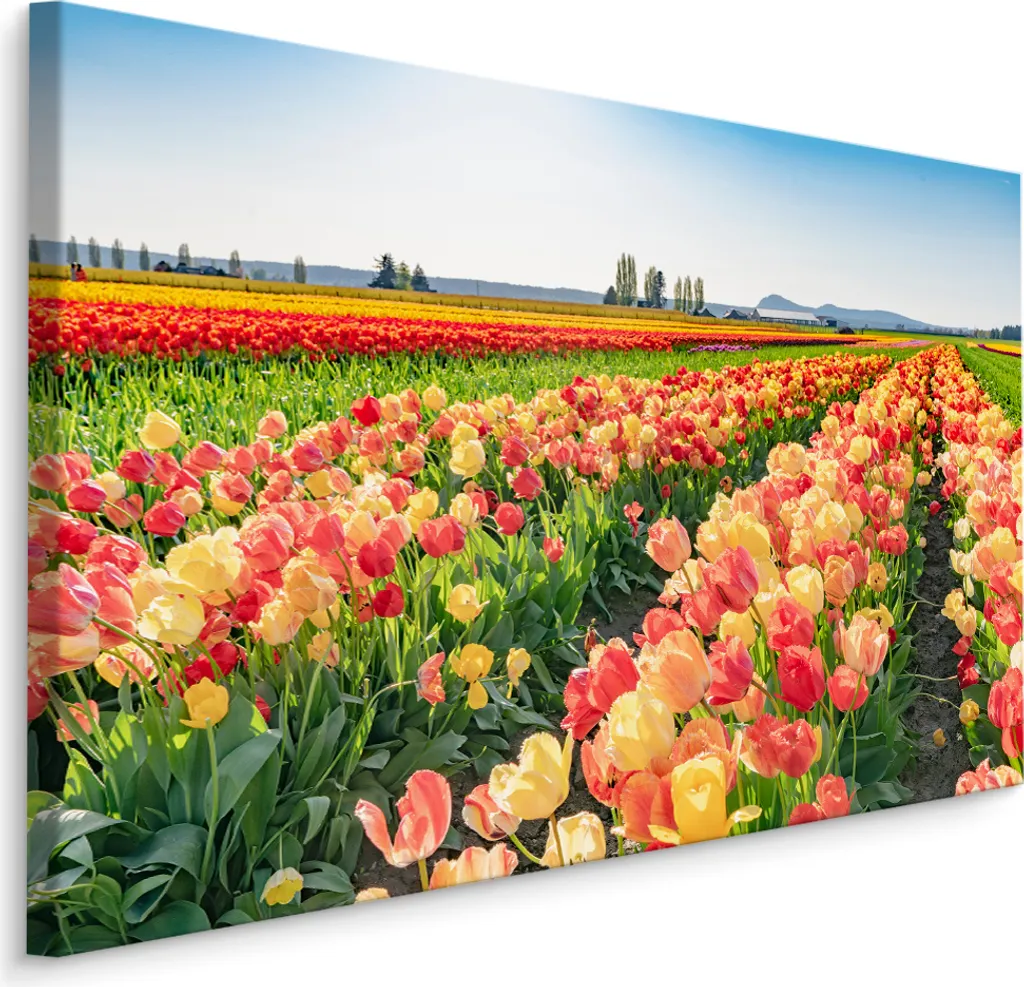Muralo Quadro Tulipani 3D 100x70 - Tela Natura per Soggiorno