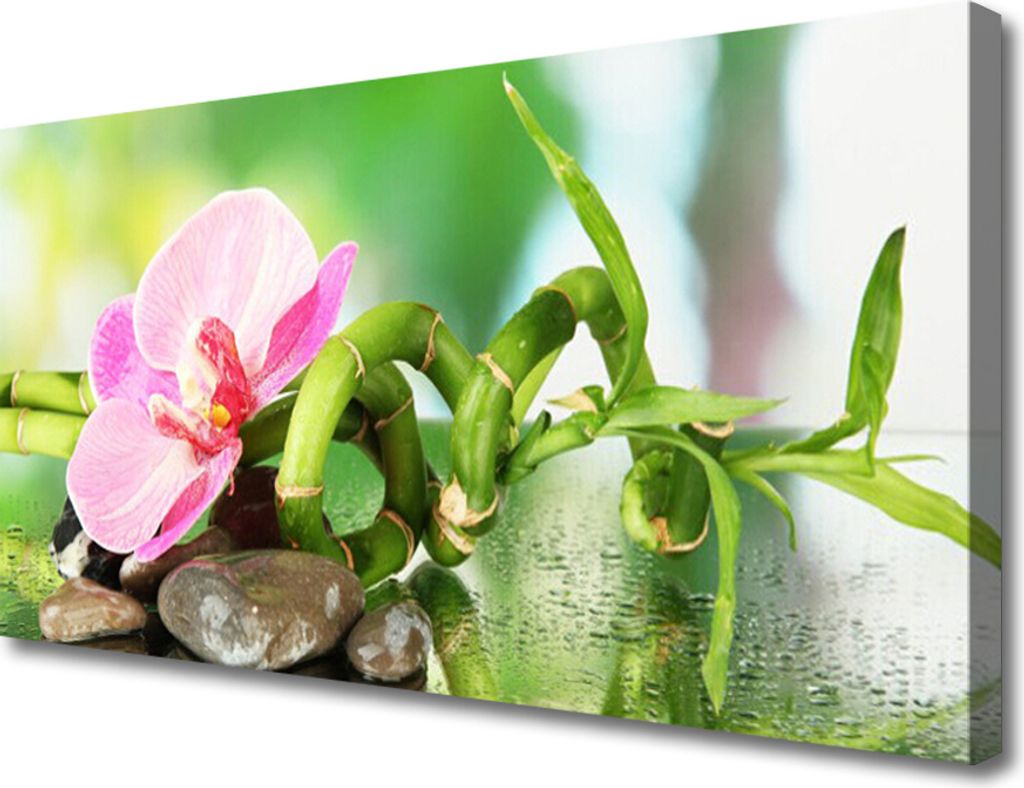 Tulup Leinwand-Bilder 100x50 Wandbild Canvas Kunstdruck Bambusrohr Blume Steine Natur