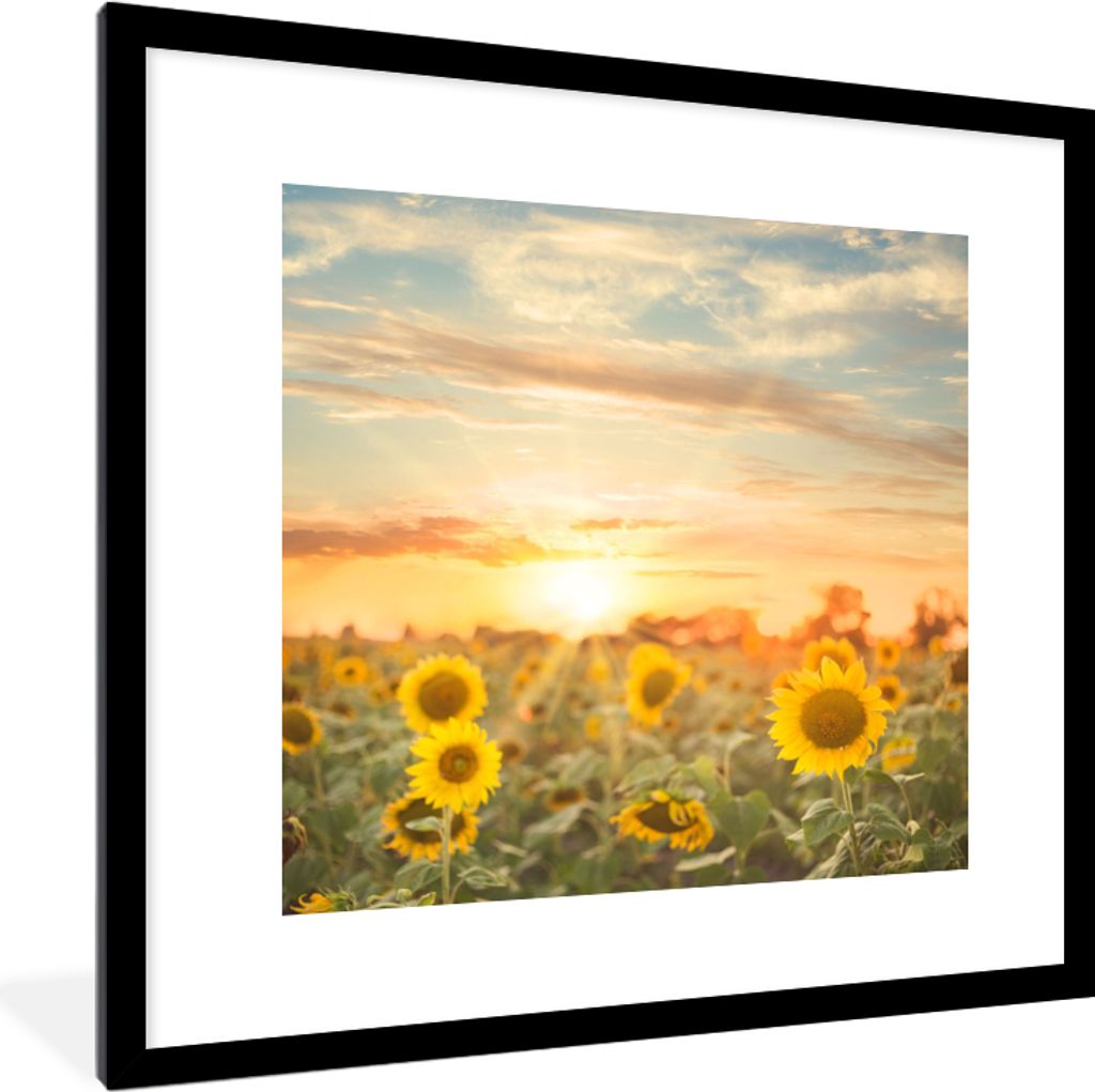 MuchoWow Gerahmtes Poster Sonnenblume - Sonne - Blumen 40x40 cm - Poster mit Schwarzem Bilderrahmen Wandposter Rahmen Foto Bilder - Poster - Plak...