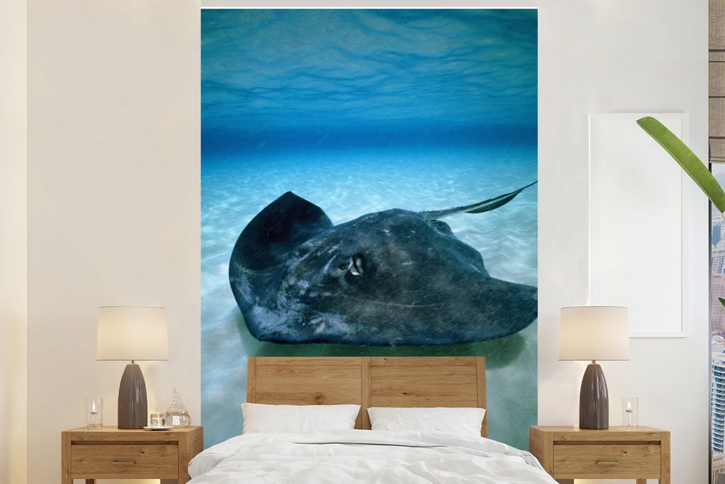 MuchoWow Fototapete für Wohnzimmer oder Schlafzimmer Wandtapete Vinyl Motivtapete Ein Rochen auf dem Meeresgrund - 170x260 cm - Wohnzimmertapete