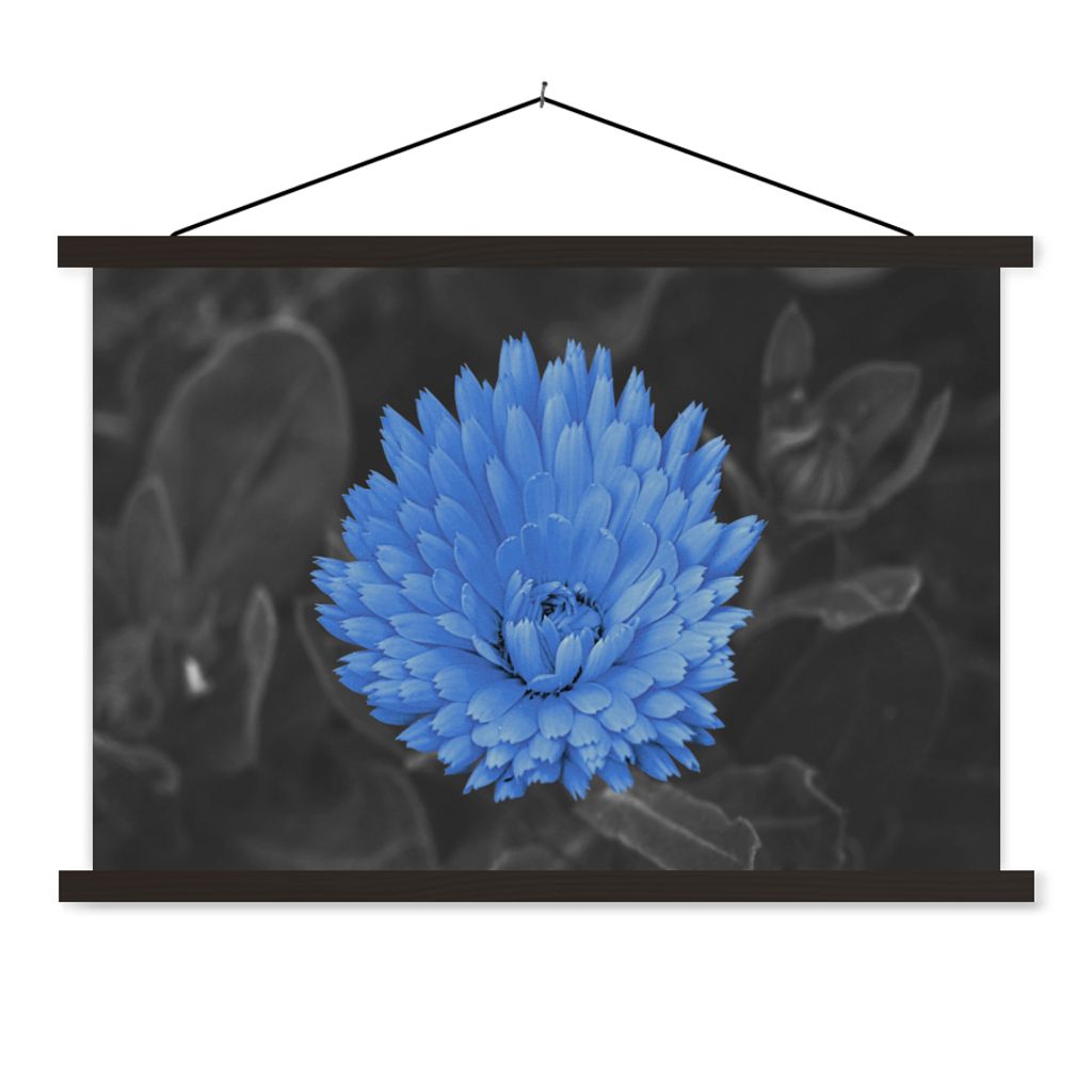 MuchoWow® Textilposter Blumen - Schwarz - Weiß - Blau Produktbild 