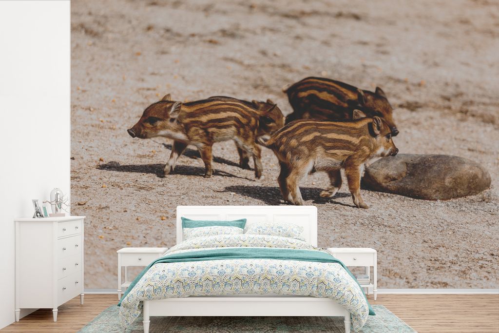 MuchoWow Fototapete für Wohnzimmer oder Schlafzimmer Wandtapete Vinyl Motivtapete Wildschwein - Strand - Tier - 600x400 cm