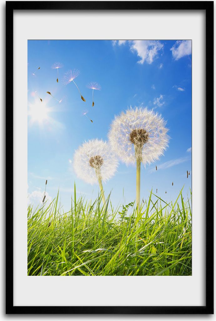 Bild - Bilderrahmen - 40 cm x 60 cm - MDF - Rahmen - Produktbild 