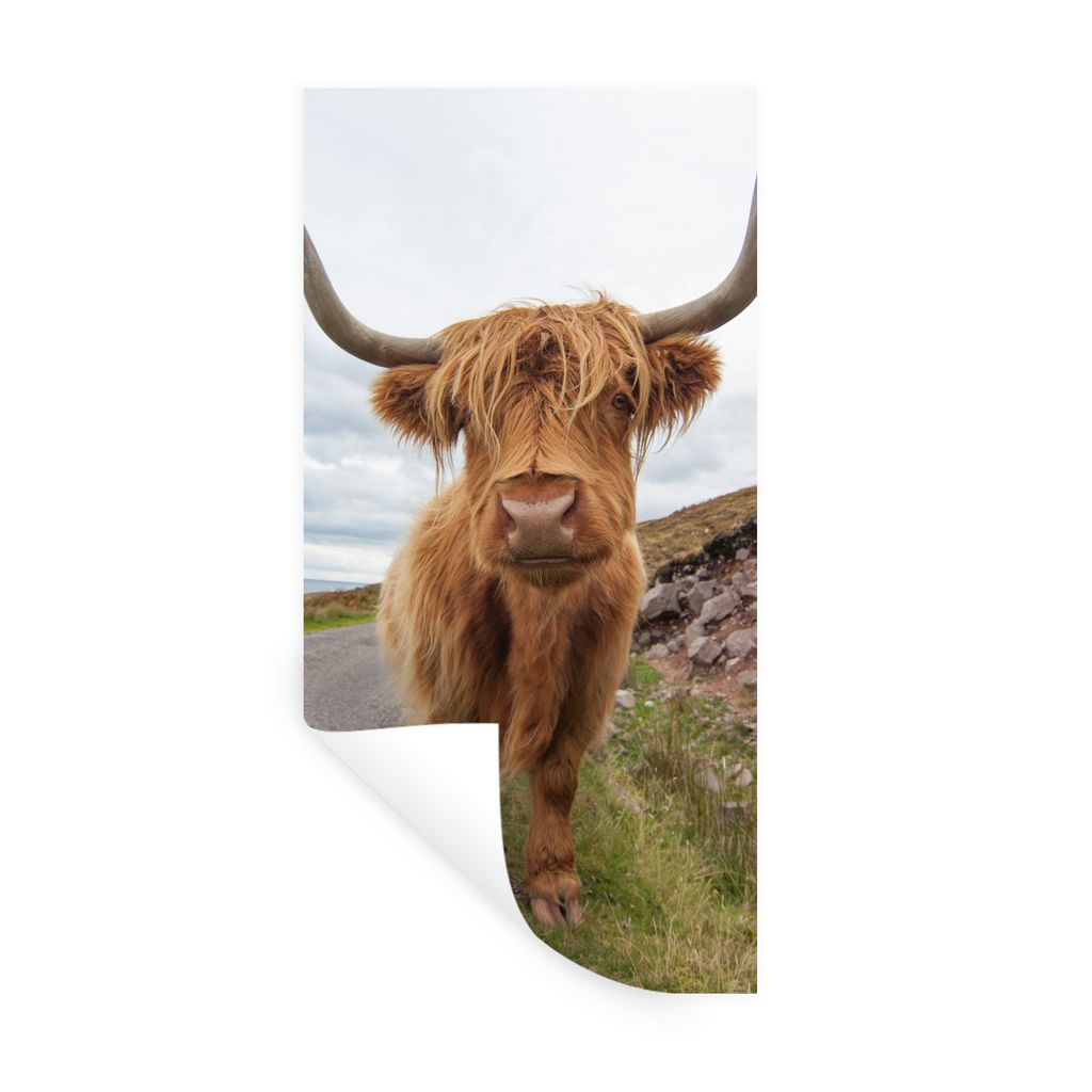 MuchoWow Wandtattoo Wandsticker Wandaufkleber Schottischer Highlander - Hörner - Berg 40x80 cm Selbstklebend und Repositionierbar - Repositionie...