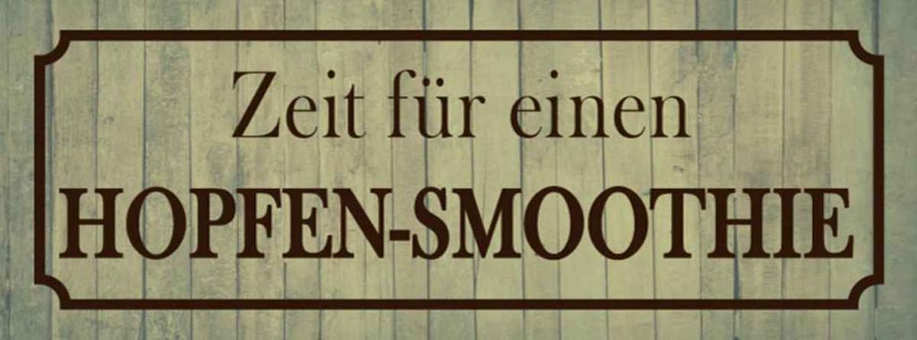 vianmo Holzschild 10x27 cm Zeit für einen Hopfen-Smoothie Essen Trinken