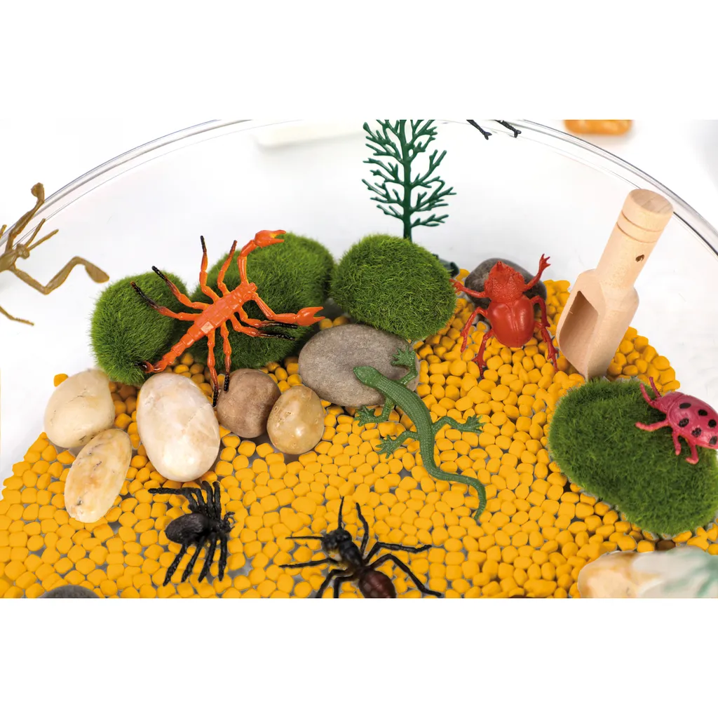 Boîte à capteurs mer EDUPLAY 120977 pour atelier Montessori