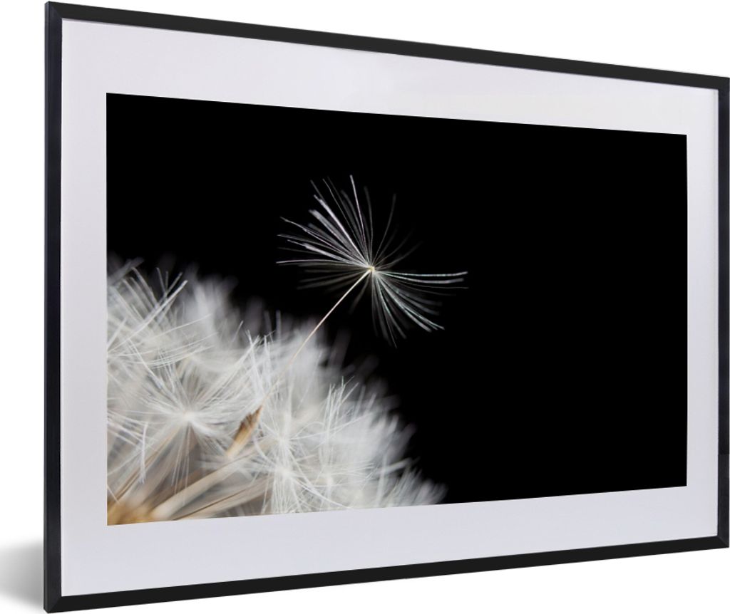 MuchoWow Gerahmtes Poster Blume - Löwenzahn - Pflanze 60x40 cm - Poster mit Schwarzem Bilderrahmen Wandposter Rahmen Foto Bilder - Schlafzimmer ...