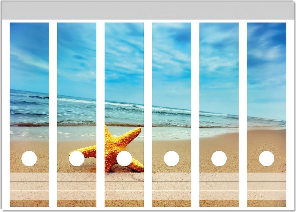 Wallario Ordnerrücken Sticker, selbstklebend für breite Ordner, 6 Stück, Motiv Seestern am Strand am Meer