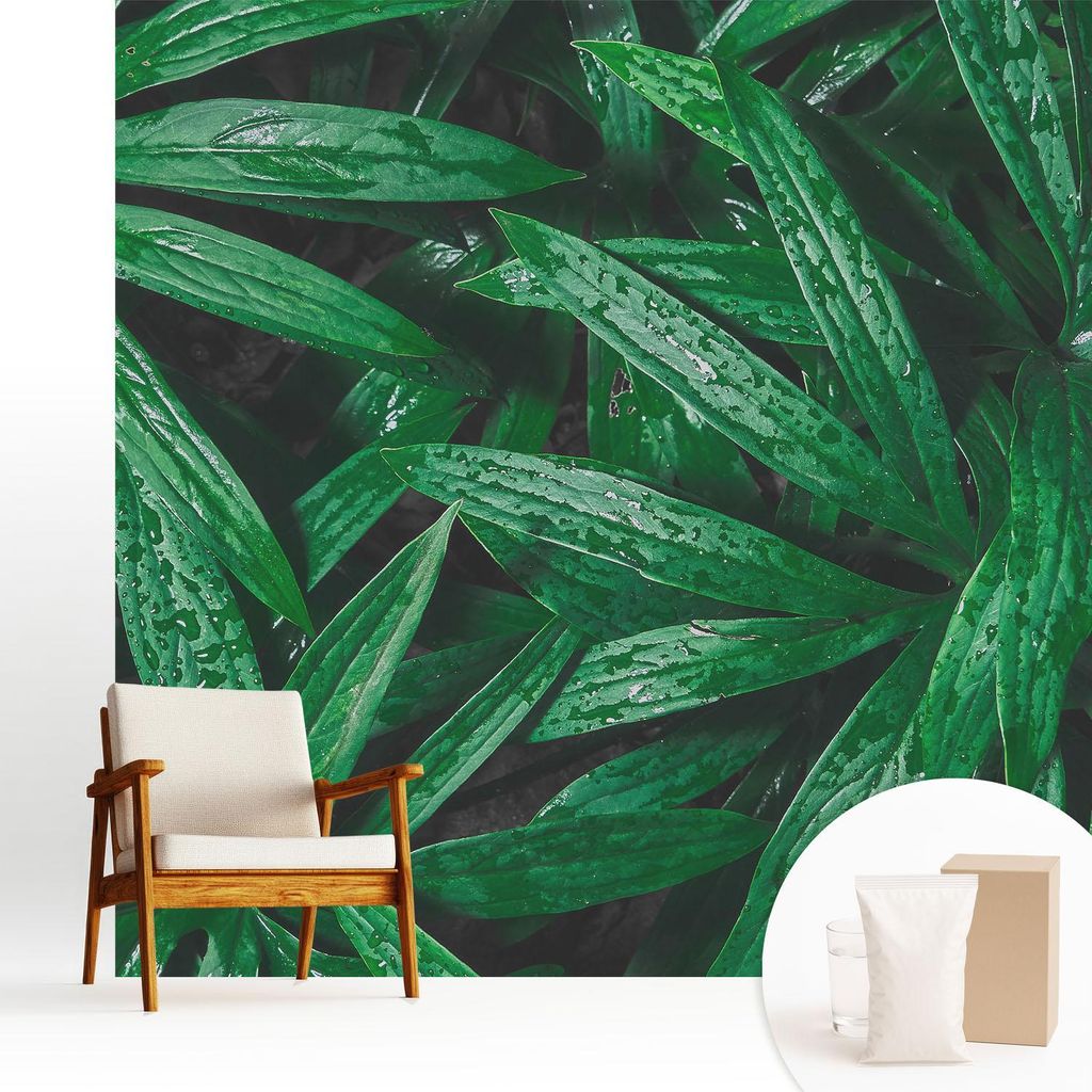 Fototapete - 250x250 cm - Tapete - Wandtapete - Wandbilder - Dekofolie - Tapete Folie - Wand - Dekoration - Wohnzimmer - Natürliches Grün