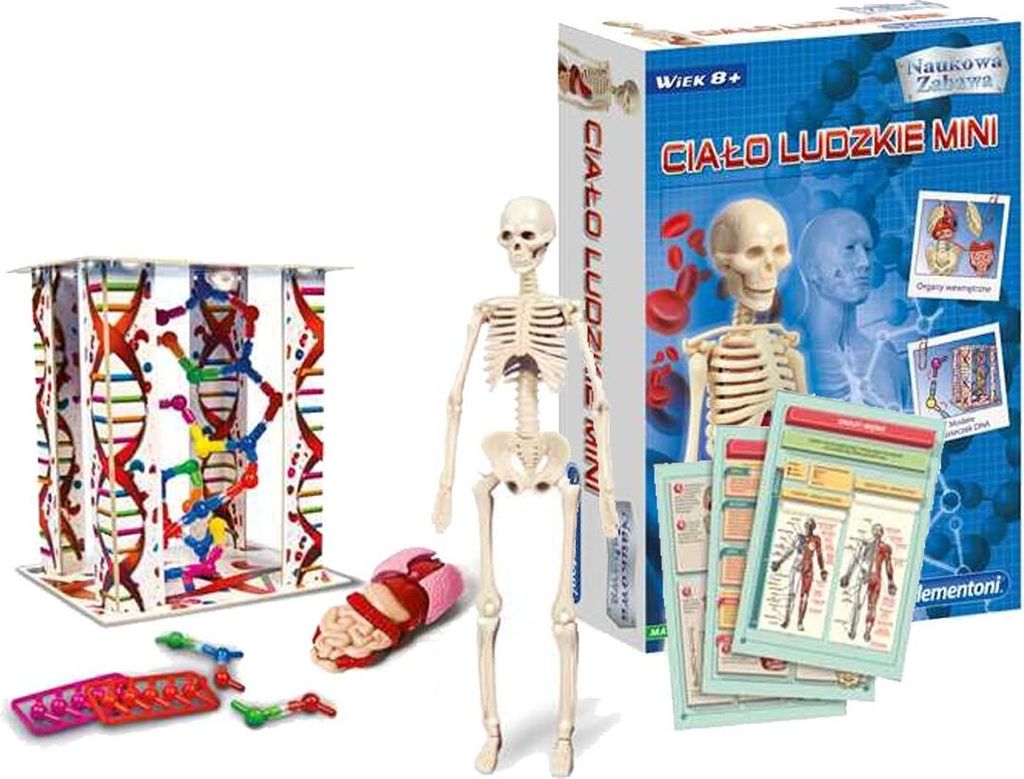 Clementoni Naukowa Zabawa Ciaao Ludzkie Mini Model Dna Zdjęcie produktu 