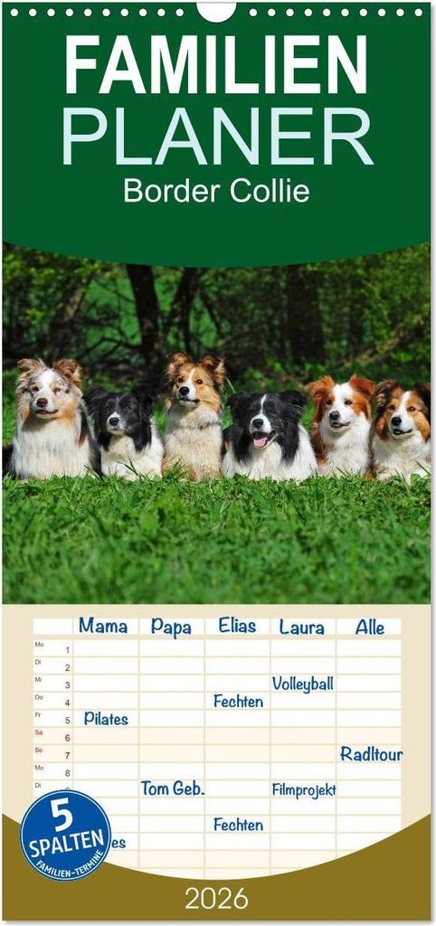 Familienplaner 2026 - Border Collie 2026 mit 5 Spalten (Wandkalender, 21 x 45 cm) CALVENDO