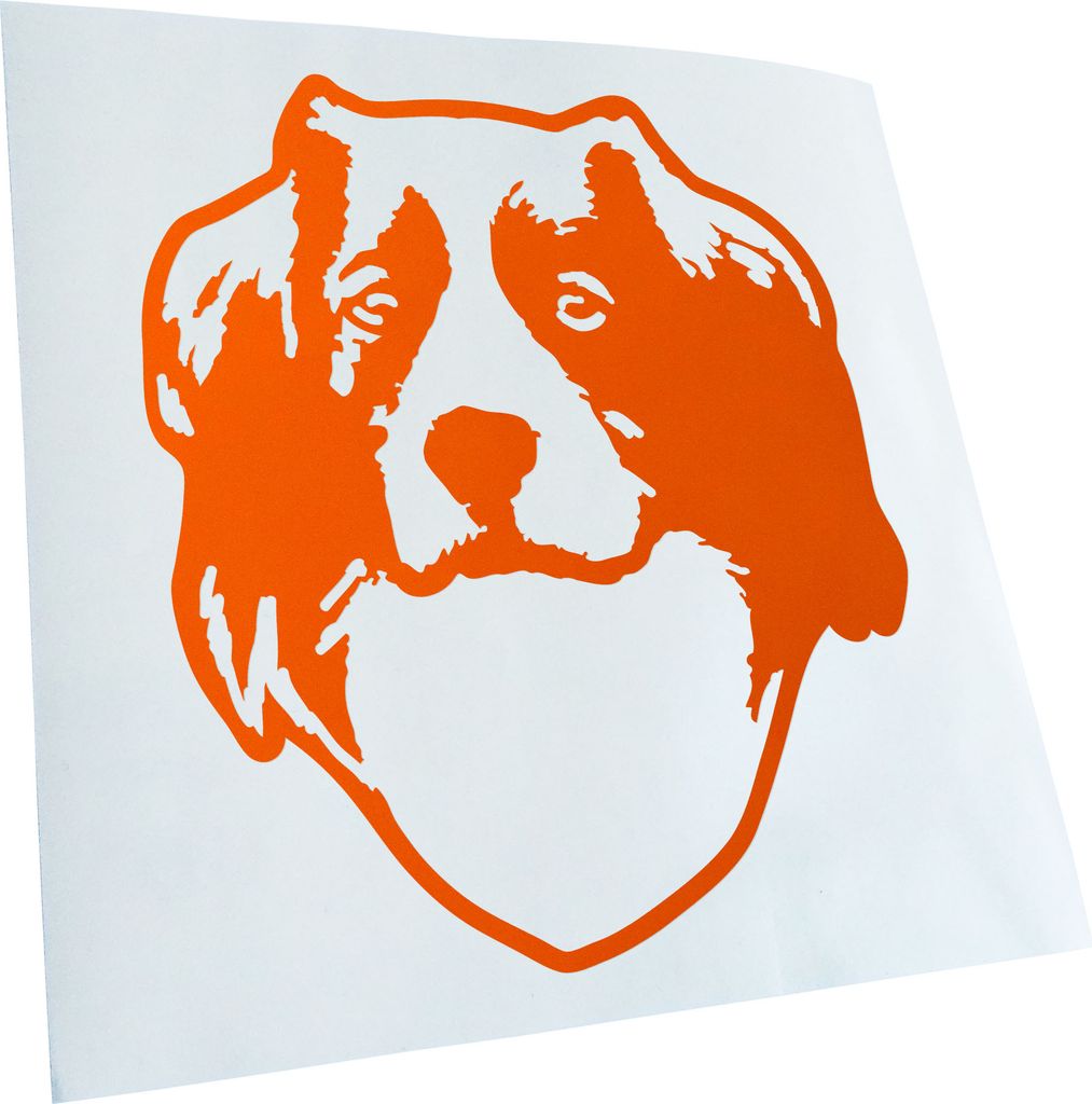Kiwistar - Autoaufkleber - kooikerhondje Hund - Orange - 40x33cm - Aufkleber für Auto, Laptop, Fahrrad, LKW, Motorrad mehrfarbig JDM Decal Racing