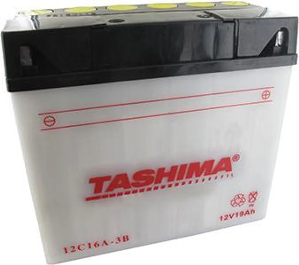 Batterie 12V 19Ah Tashima : Résolvez vos Problèmes de Démarrage Tondeuse