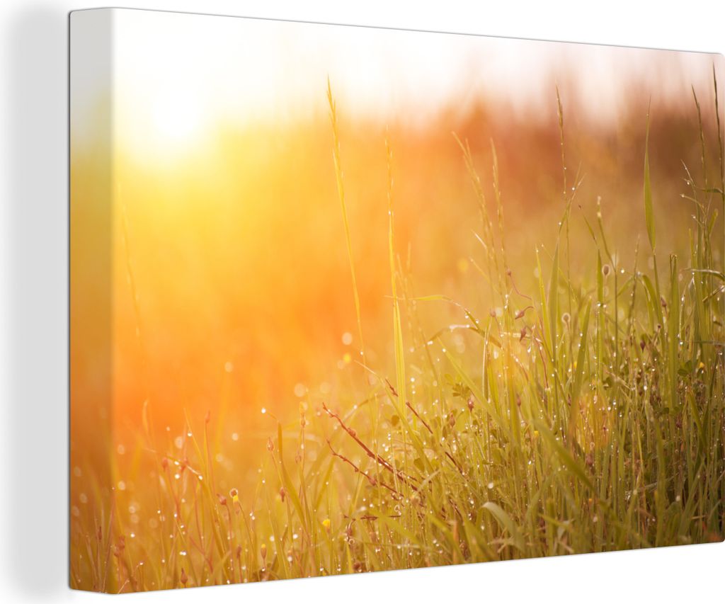 OneMillionCanvasses - Leinwandbilder - 140x90 cm, Gras mit frühem Tau im Morgenlicht, Wandbilder Kunstdruck Wanddekoration - Foto auf Leinwand -...