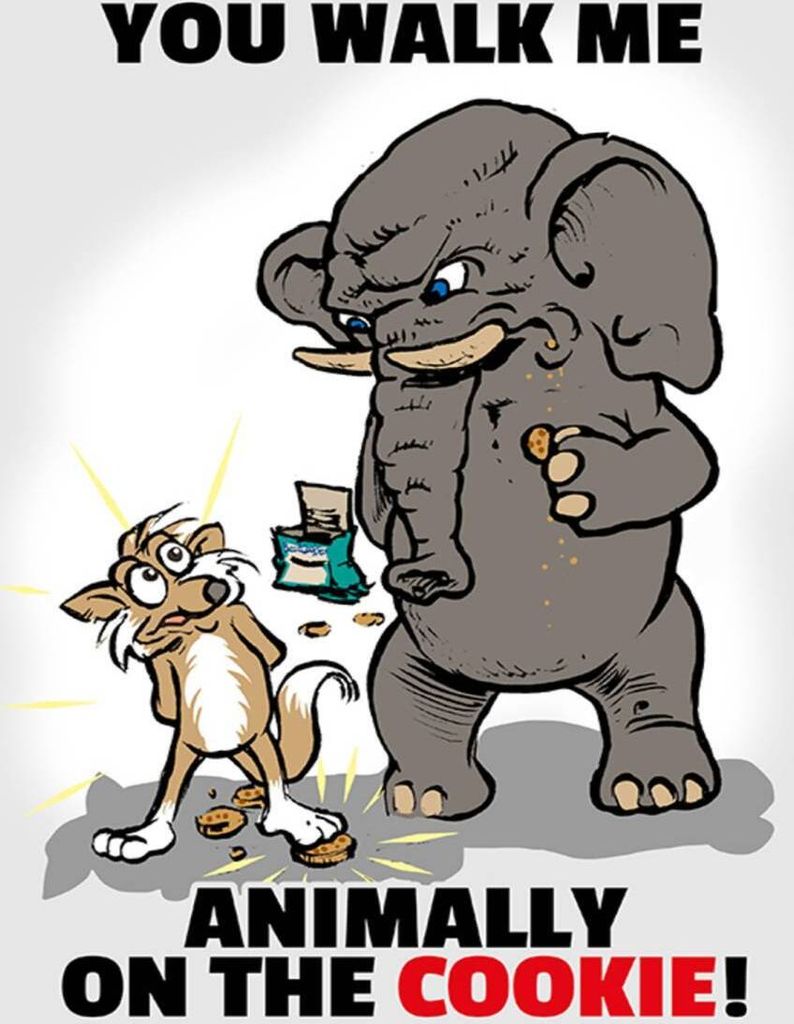 vianmo Holzschild 40x30 cm You walk me animally on the cookie