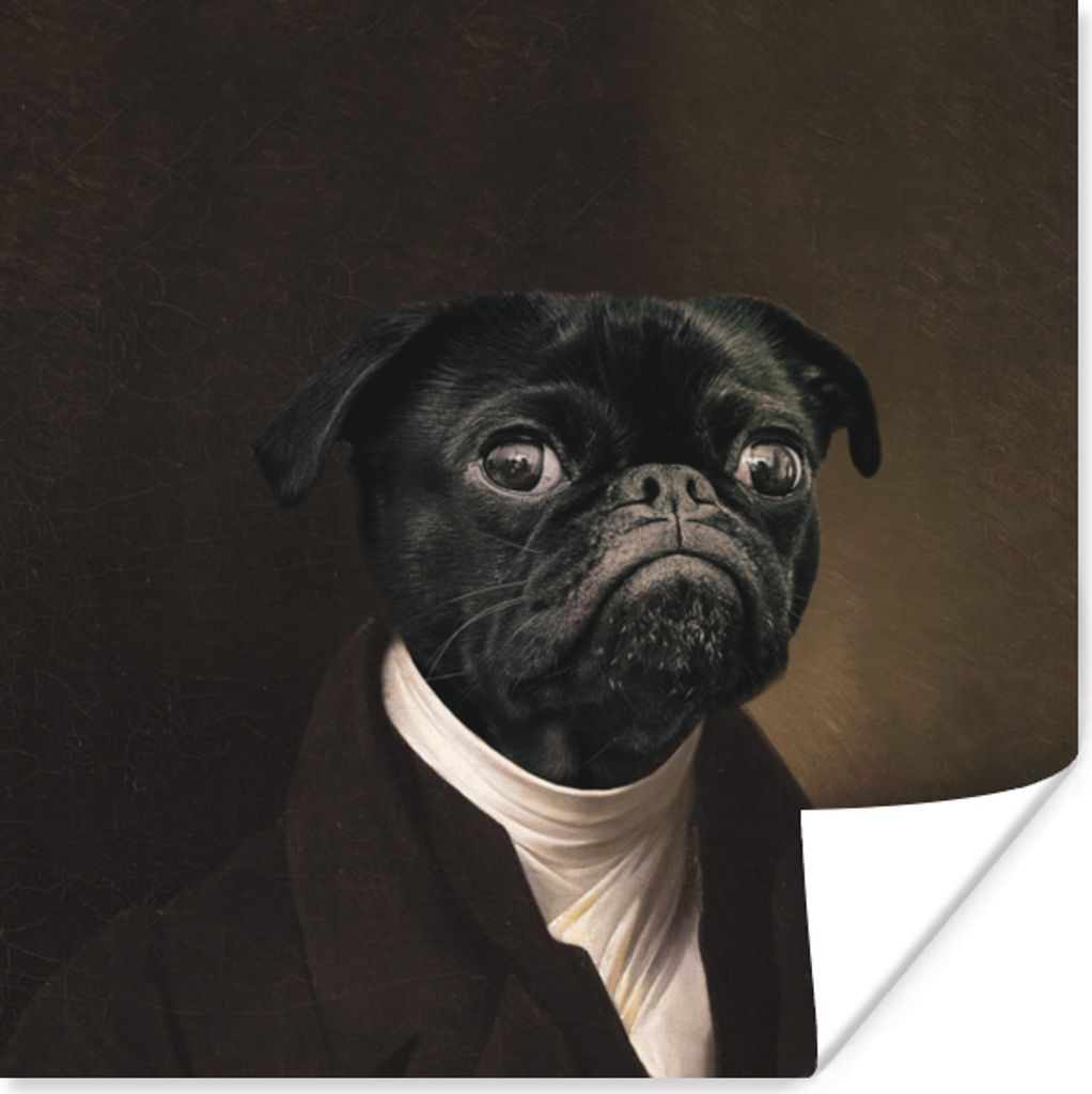 MuchoWow Poster Mops - Mittelalter - Kleidung 30x30 cm - Wandposter - Printing