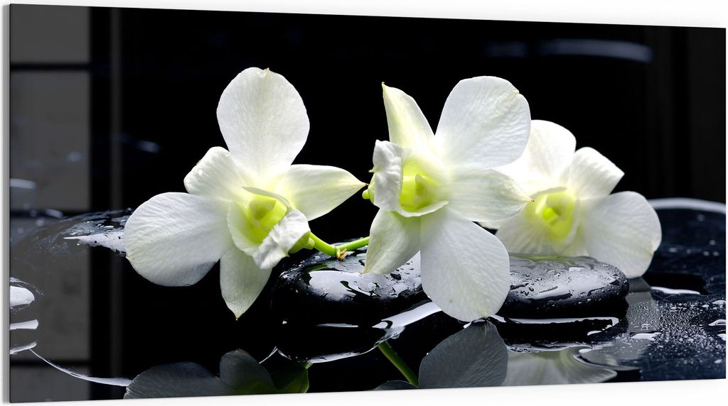 DEQORI Glasbild Acryl 100x50 cm 'Orchidee mit Zen-Steinen' Wandbild Bild modern Deko