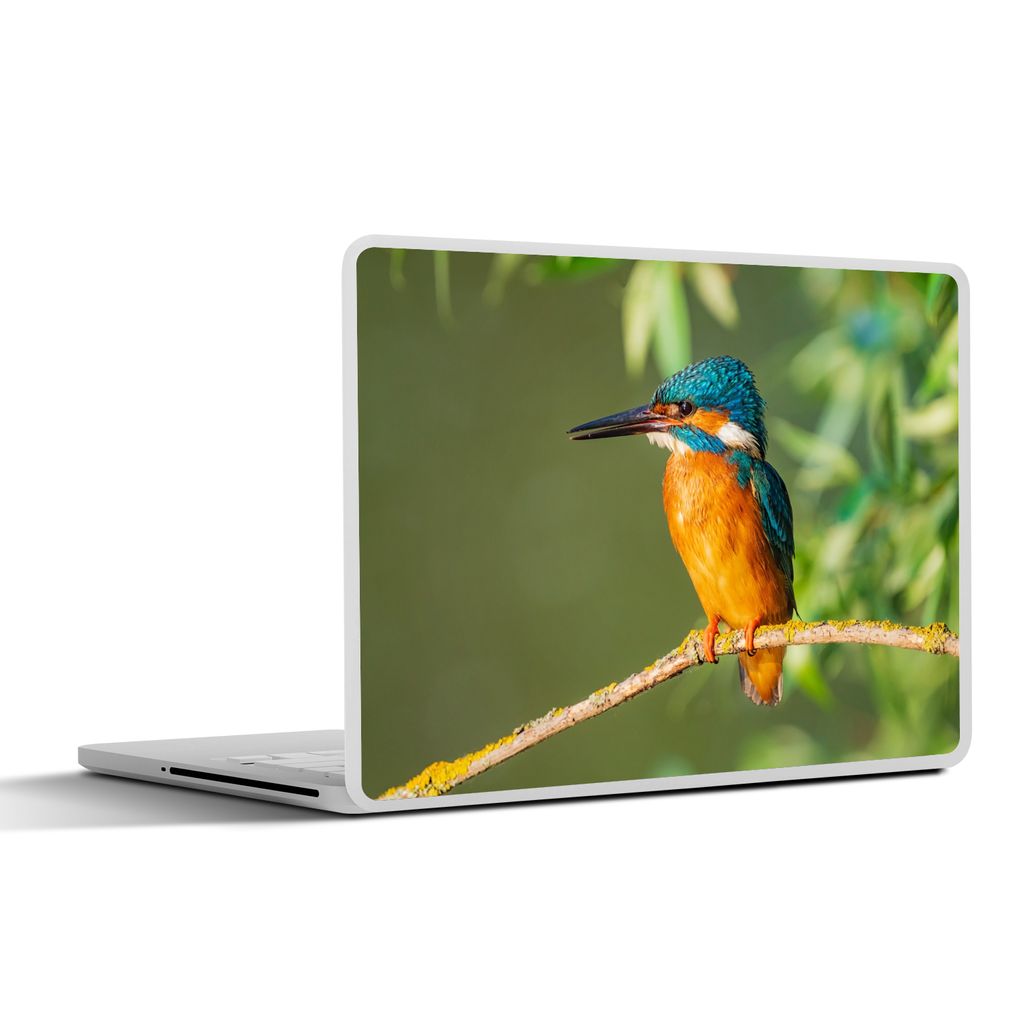MuchoWow Laptop Aufkleber Sticker Cover Vogel - Eisvogel - Zweig - Blätter - Moos 30x22 cm - Laptop-Sticker
