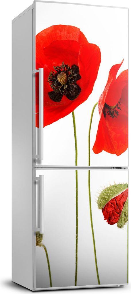 Tulup Kühlschrankdekoration - 70x190 cm - Aufkleber auf dem Kühlschrank - Wildblumen Mohn