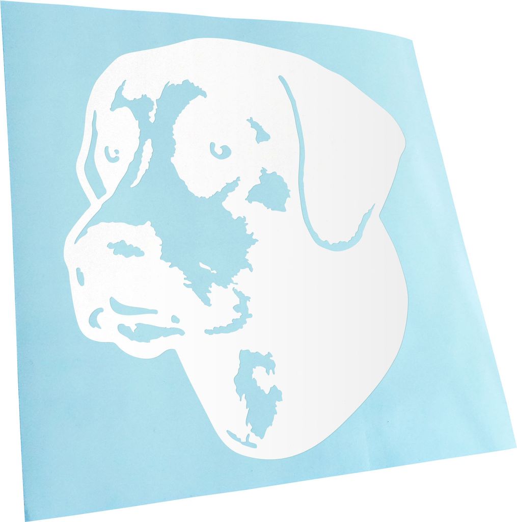 Kiwistar - Autoaufkleber - Blue Lacy Hund - Weiss - 50x45cm - Aufkleber für Auto, Laptop, Fahrrad, LKW, Motorrad mehrfarbig JDM Decal Racing