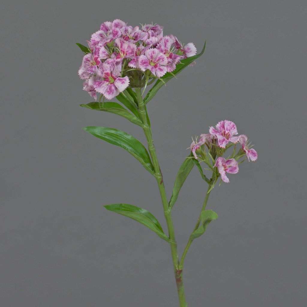 artplants.de Künstliche Bartnelke Archie, pink-rosa, 60cm, Ø7-16cm - Deko Blumen/Textilblumen
