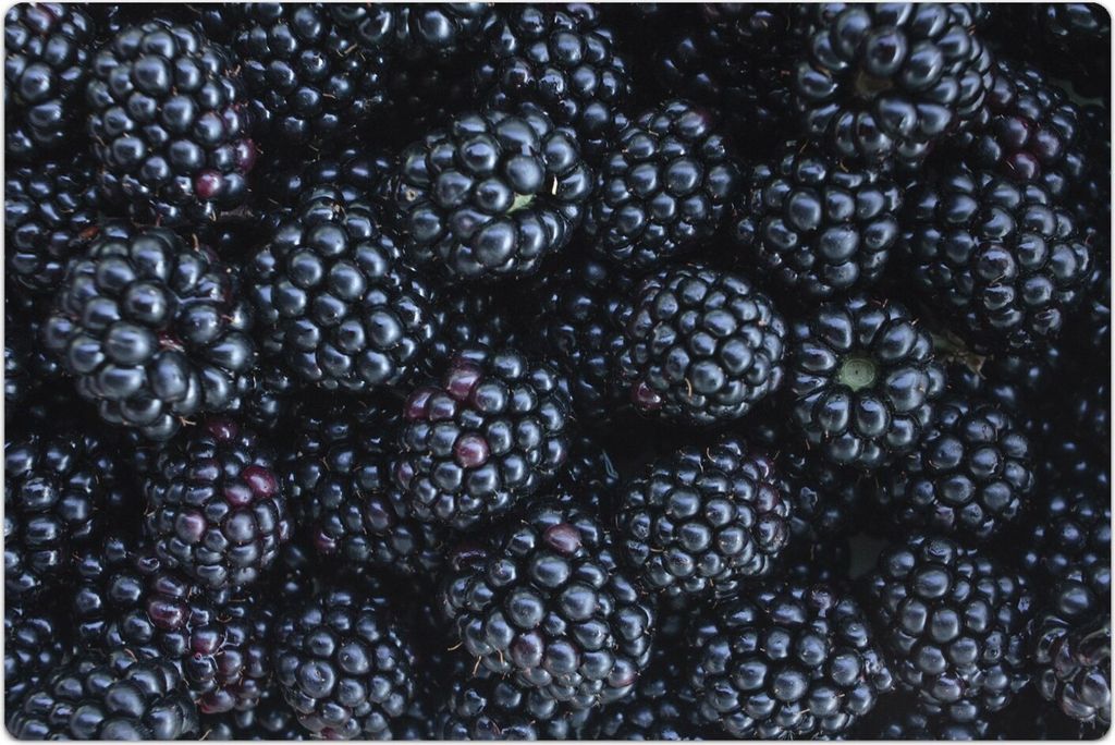 Küchenmatte 140x210 cm Vinylmatte Bodenmatte Dekoration - Brombeere Obst