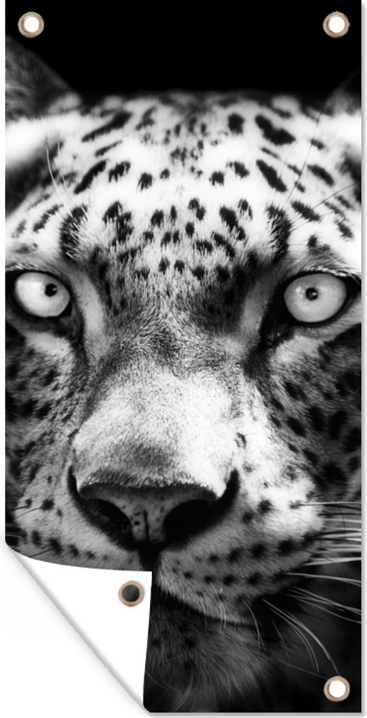 MuchoWow 40x80 cm Outdoor-Poster Gartendeko Sichtschutz Garten Poster für den Garten Tierprofil Persischer Panther in schwarz und weiß