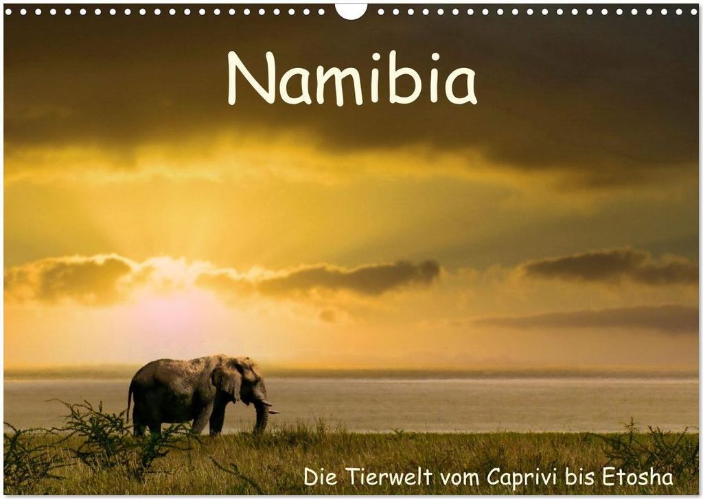 Namibia – Die Tierwelt vom Caprivi bis Etosha (Wandkalender 2026 DIN A3 quer), CALVENDO Monatskalender