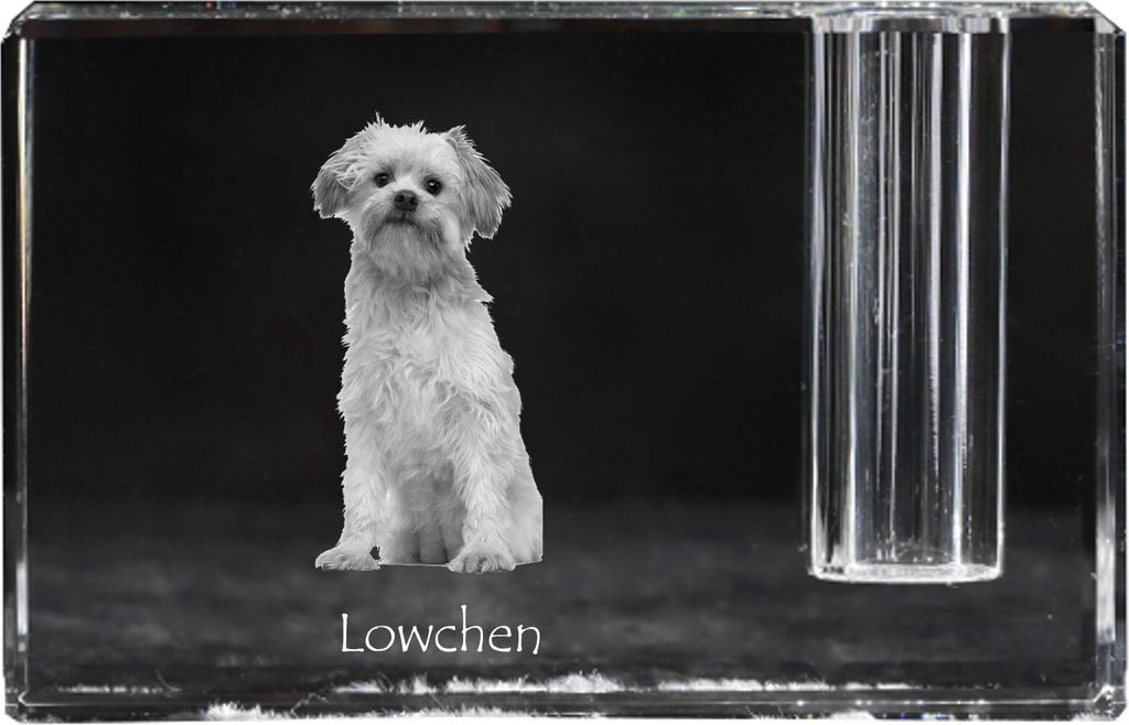 Löwchen - Stifthalter, Kristallorganizer mit Hundefoto, einzigartige Schreibtischdekoration der Marke Art-Dog