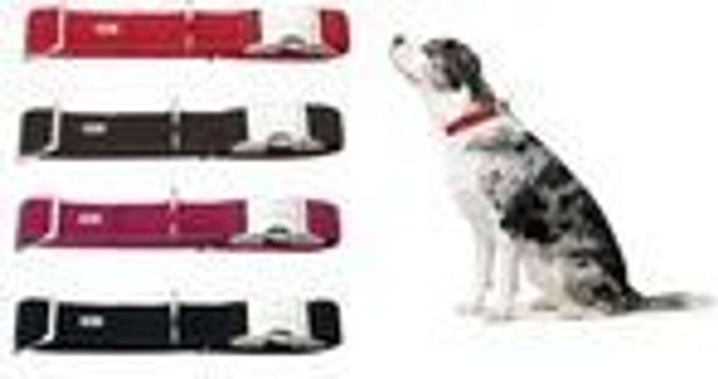 Hunter Halsband Softie Alu-Strong