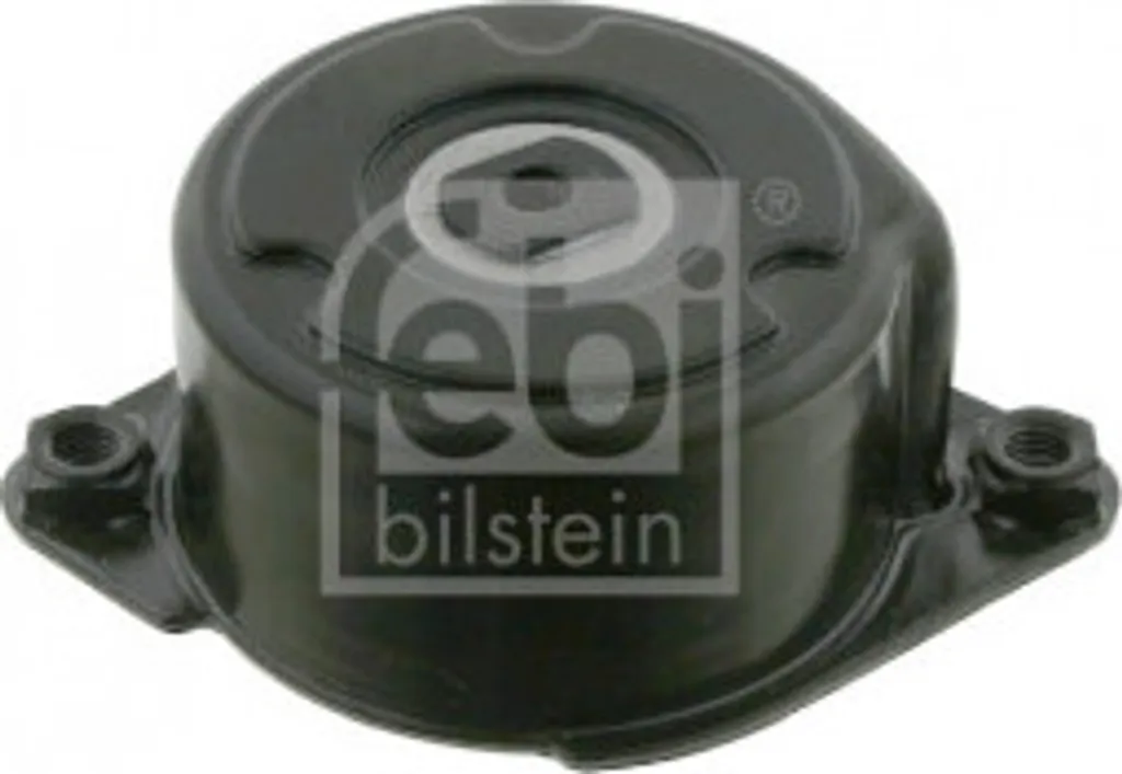 Tendeur de courroie d'accessoires pour Range Rover III L322 et BMW X5