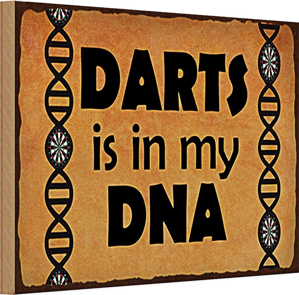 Holzschild Spruch 30x20cm Darts is in my DANN