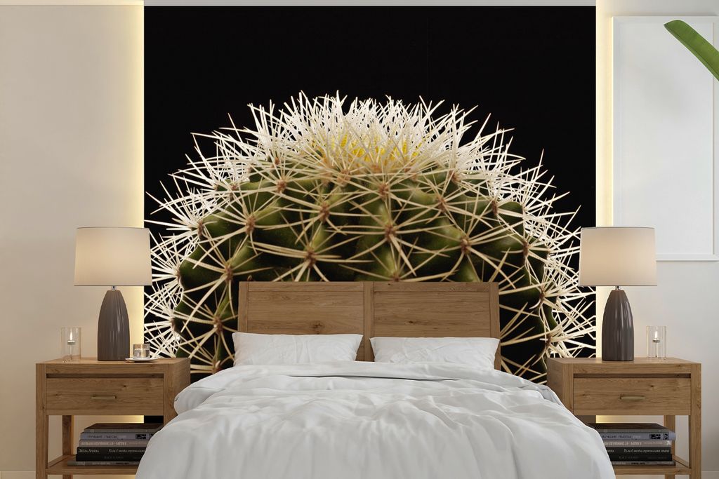 MuchoWow Fototapete für Wohnzimmer oder Schlafzimmer Wandtapete Vinyl Motivtapete Eine Nahaufnahme eines dornigen Kaktus auf schwarzem Hintergru...