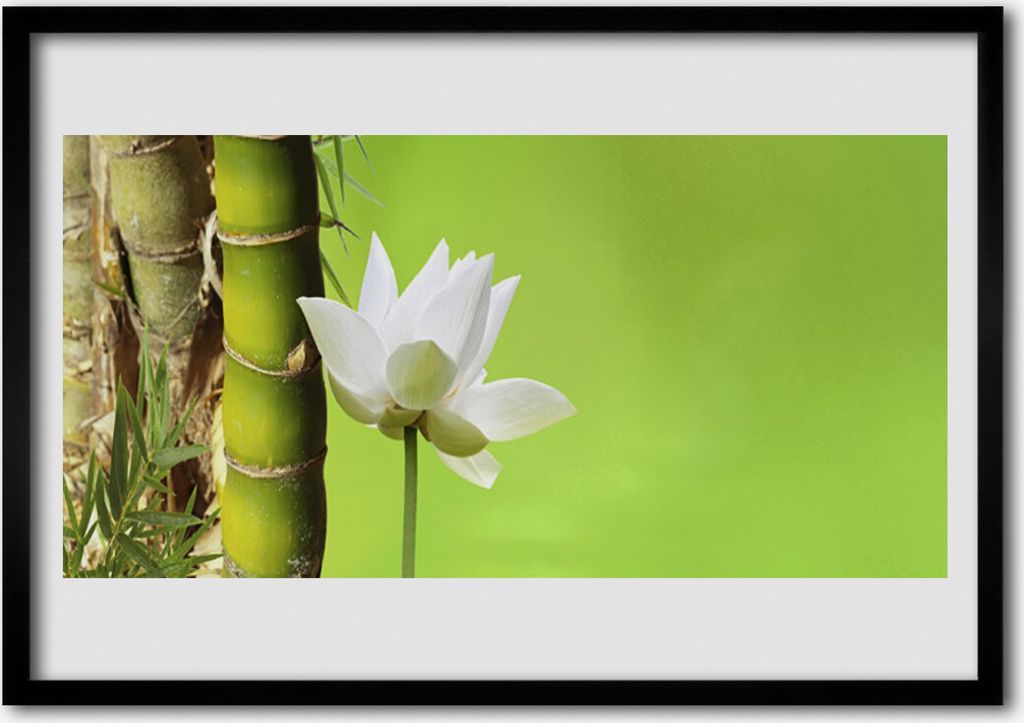 Bild 70x50 MDF-Rahmen Wandkunst Bambusstamm Pflanze Natur