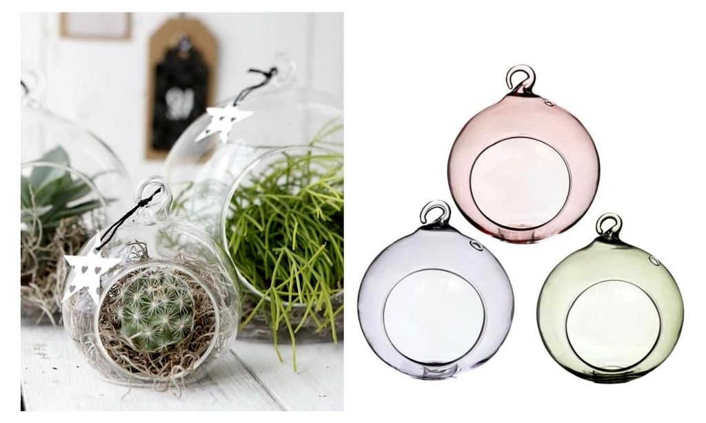 Hängende Glaskugel Vasen im Set mit 3 Stück (Grün, Lila, Pink), erhältlich in 2 Größen | Sukkulenten Glas | Terrarium Glas | Tillandsia Glas ...