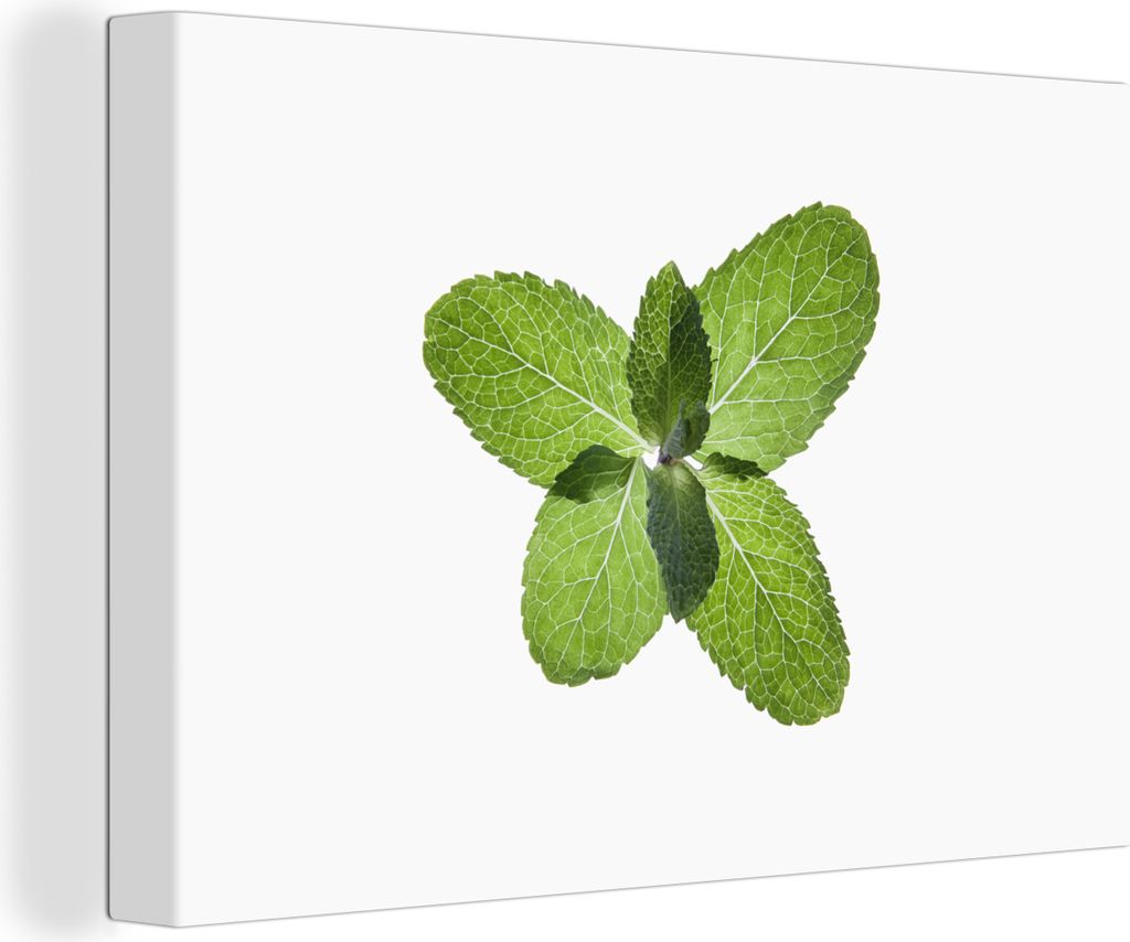 OneMillionCanvasses - Leinwandbilder - 140x90 cm, Ein kleiner Strauß frischer Minzblätter, Wandbilder Kunstdruck Wanddekoration - Foto auf Lein...