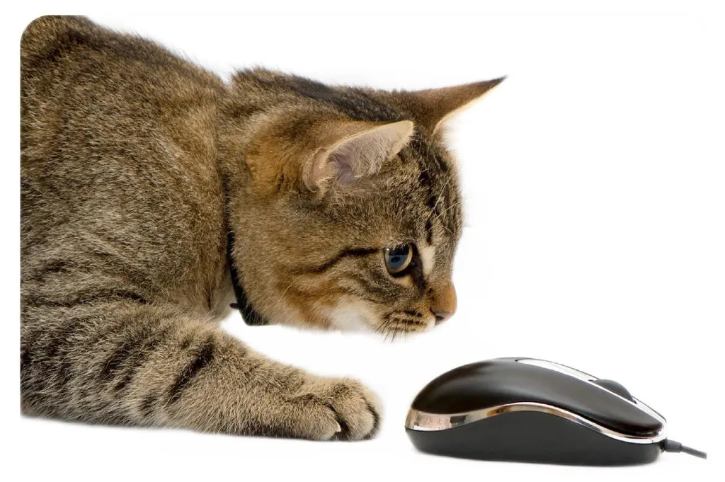 Tapis de souris imperméable motif chat avec base antidérapante