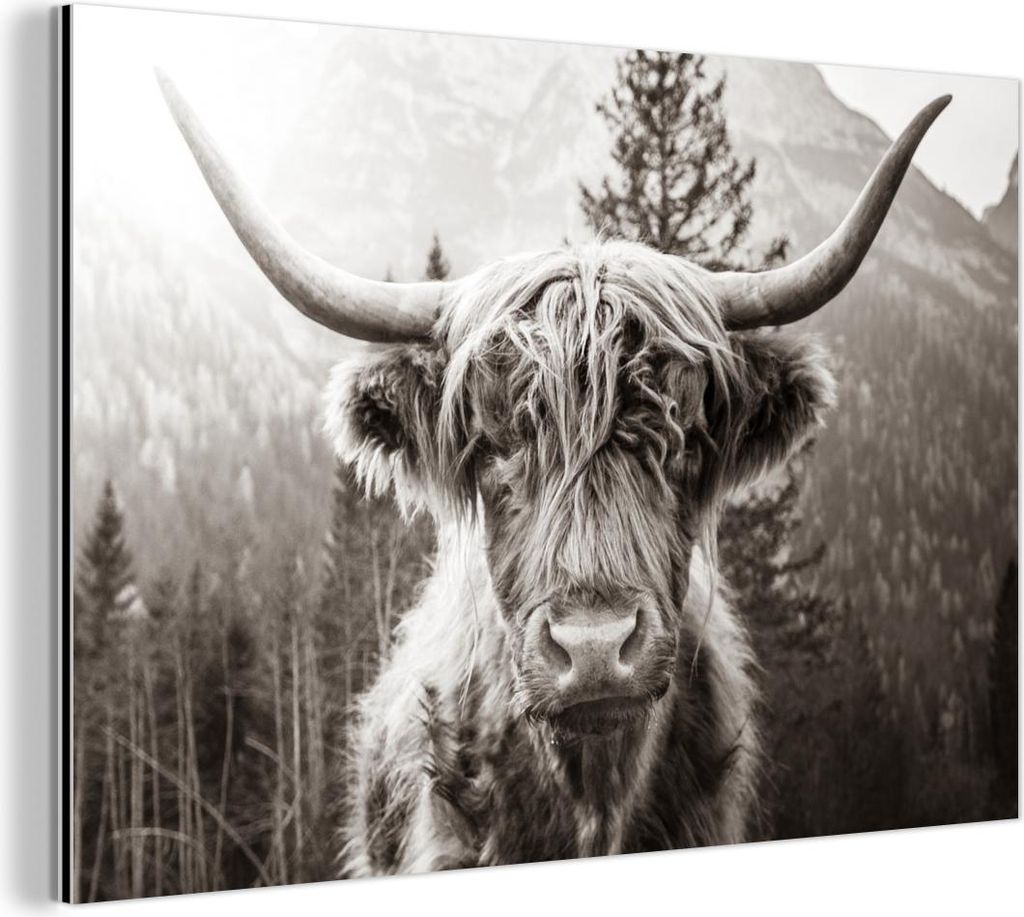 MuchoWow Wanddekoration Metall Metallbild Wandkunst 120x80 cm Schottisches Hochlandrind - Kuh - Tiere - Schwarz - Weiß MuchoWow Aluminium Gemälde...