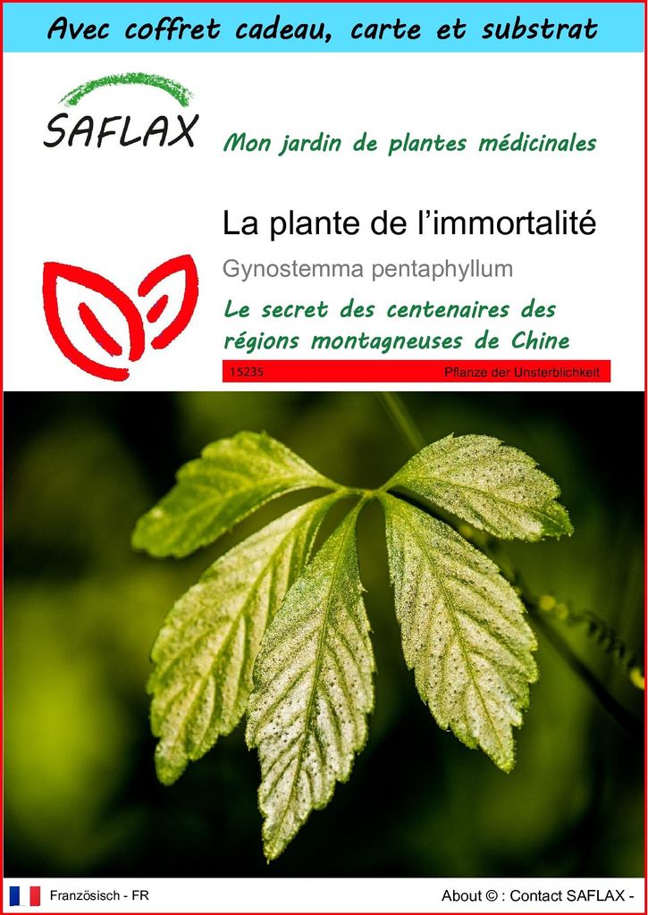 SAFLAX Ensemble-cadeau - La plante de l’immortalité - 30 Image du produit 