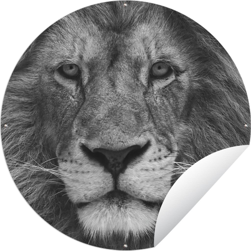 MuchoWow Gartenposter Outdoor-Poster Rund Tierprofil Persischer Löwe in schwarz und weiß Ø 60 cm Gartendeko Rundes Poster draußen