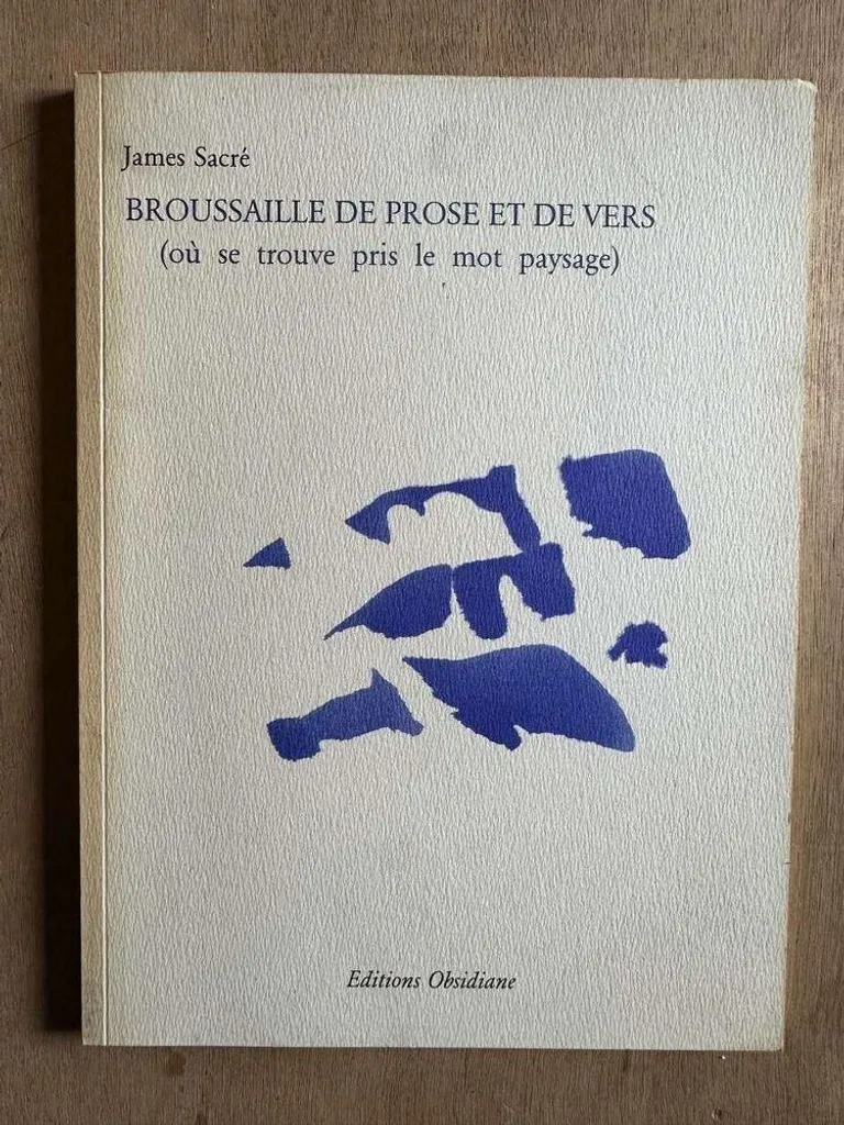 Broussaille de prose et de vers livre de poésie contemporaine broché
